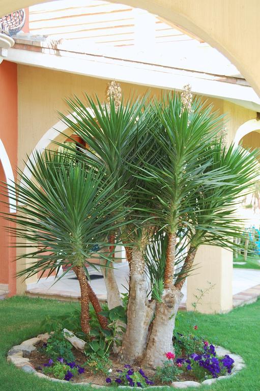 I Lentischi Aparthotel Villasimius Luaran gambar